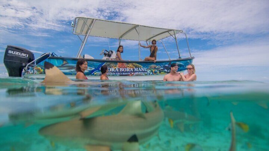 lagoon tour/FULLDAY TOUR/excursions/polynesian meal/shark/manta rays/coral garden/island tour/motu fanfan/relax time/exploration/eagle rays/leopard ray/adventure/coco show/center activitie