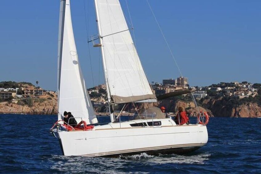 Sailing boat Targui III sailing - Palma de Mallorca