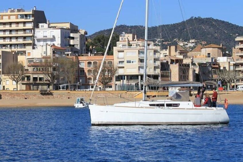 Sailing boat Targui III sailing - Palma de Mallorca