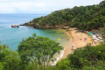 Discover Búzios: Guided Tour with Boat and Lunch