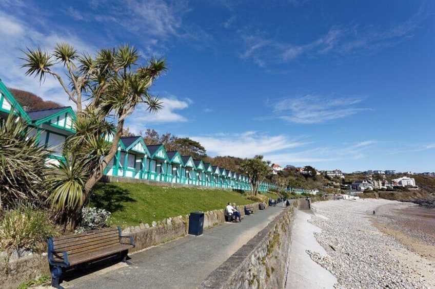 From Cardiff: Gower Peninsula, Finest Cliffs of South Wales