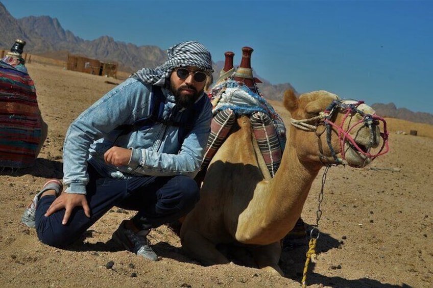 ATV, Jeep, Buggy, Camel Ride, Dinner & Bedouin Village - Hurghada