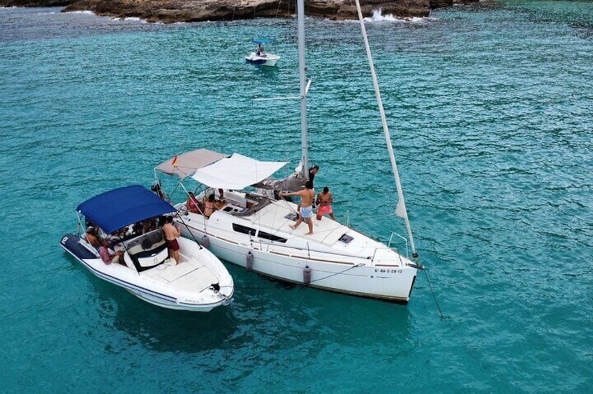 Horizon day sailing tour of Palma Bay