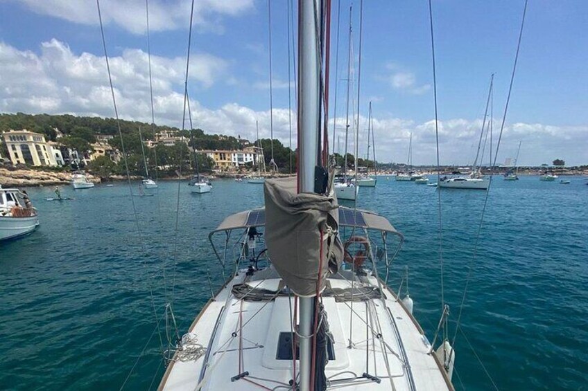 Horizon day sailing tour of Palma Bay