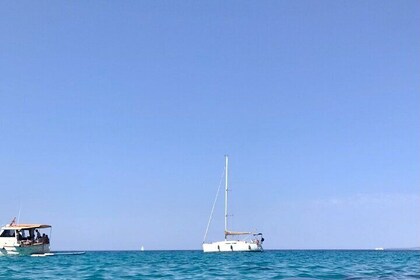 Horizon day sailing tour of Palma Bay