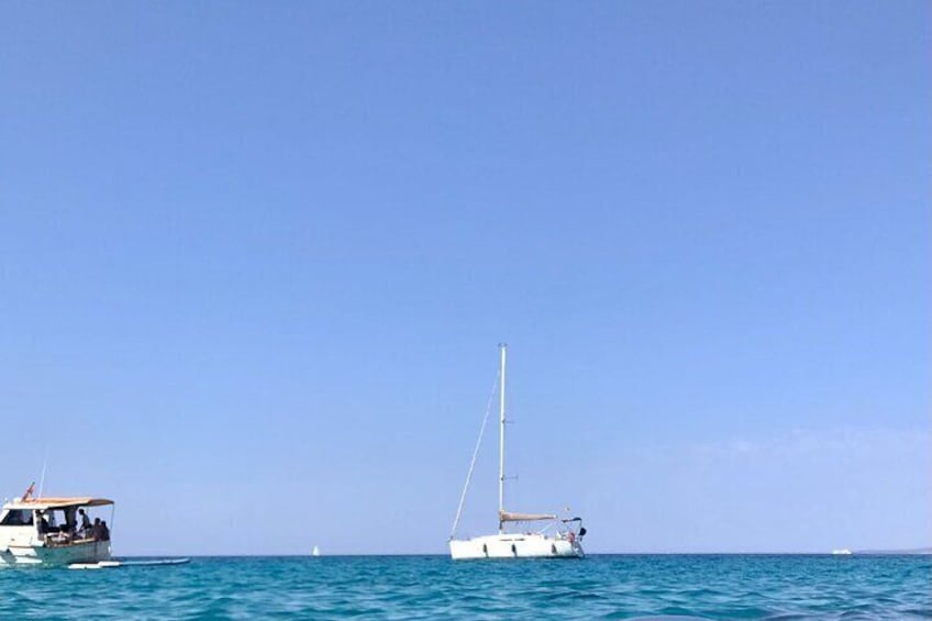 Horizon day sailing tour of Palma Bay