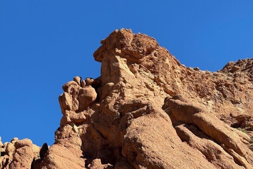 Hiking: Private 3day tour Departure Marrakech to Gorges Dades