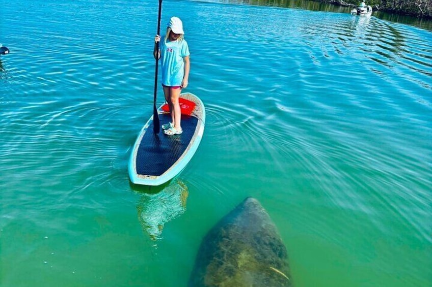 This little girl had a manatee come by to say hello!