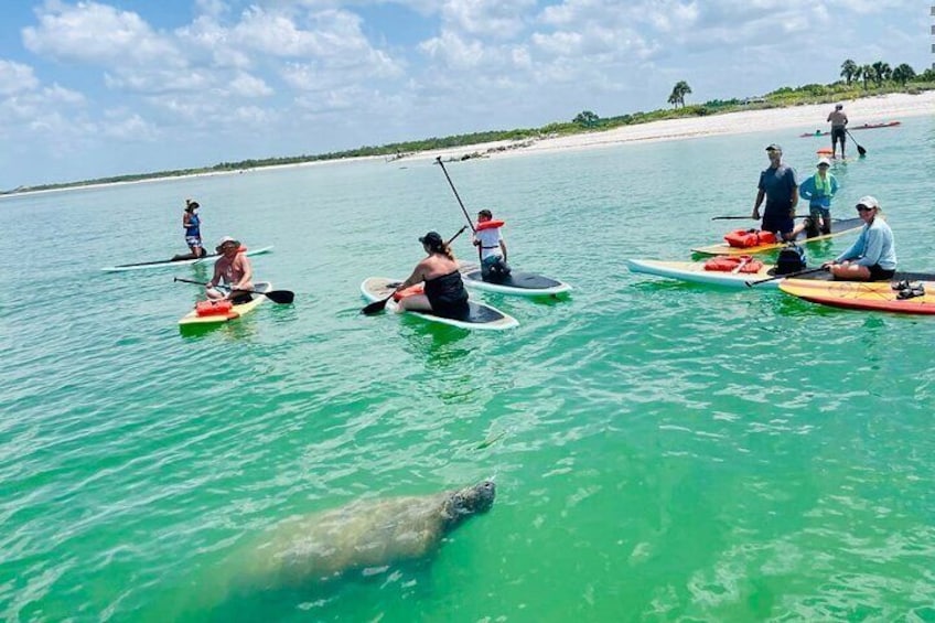 This group from Naples had a blast seeing all the manatees!