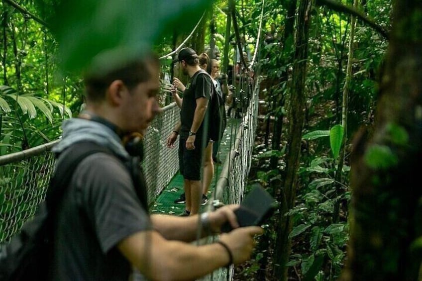 Zipline adventure & Rainforest Hanging Bridges-Skywalk