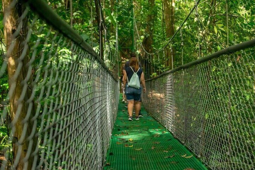 Zipline adventure & Rainforest Hanging Bridges-Skywalk