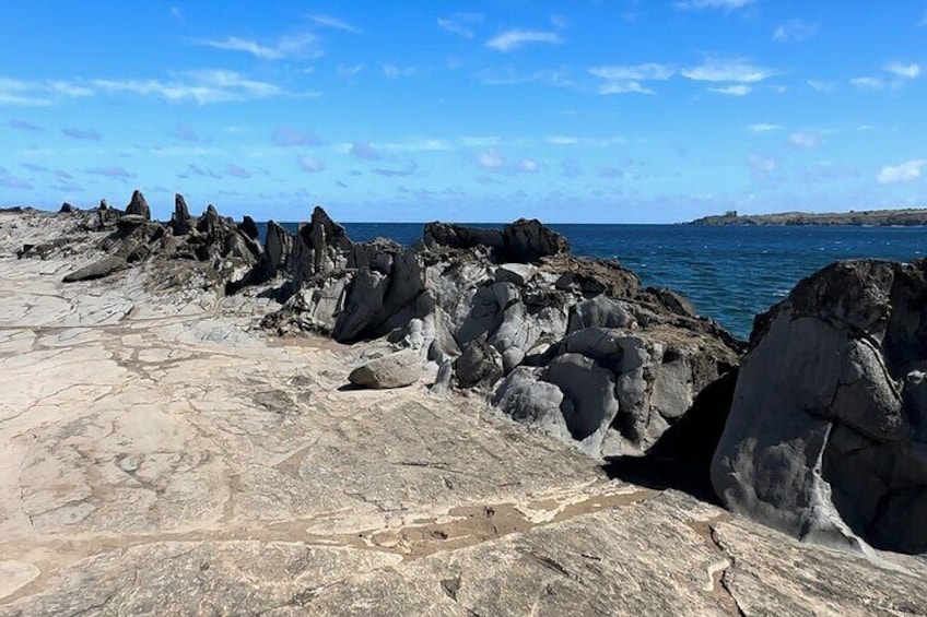 West Maui Coastline Open-Air Jeep Tour