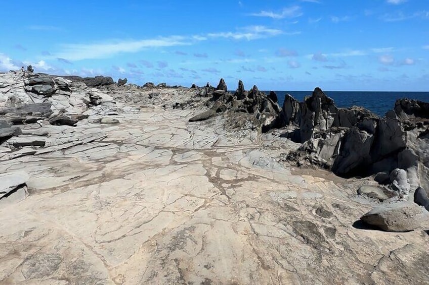 West Maui Coastline Open-Air Jeep Tour