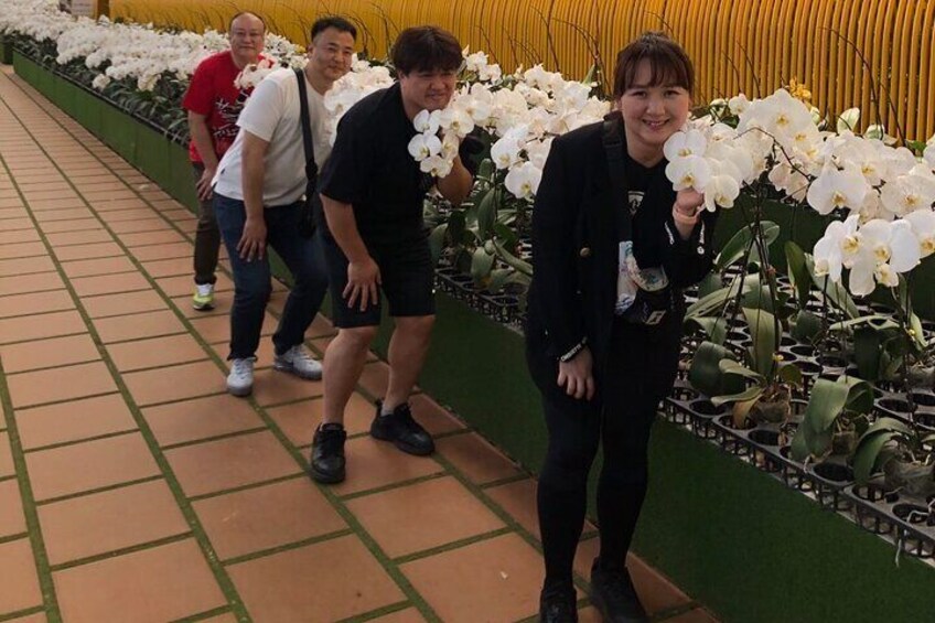 Dalat's Top Highlights: Explore the Best of the City