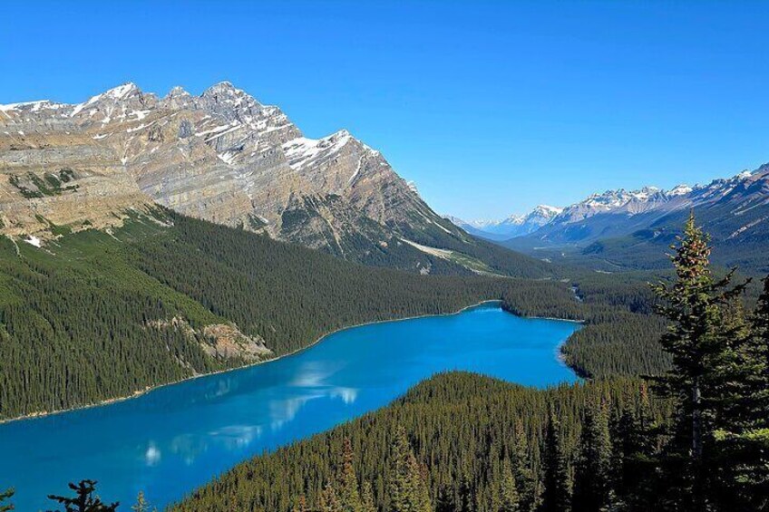 Peyto Lake