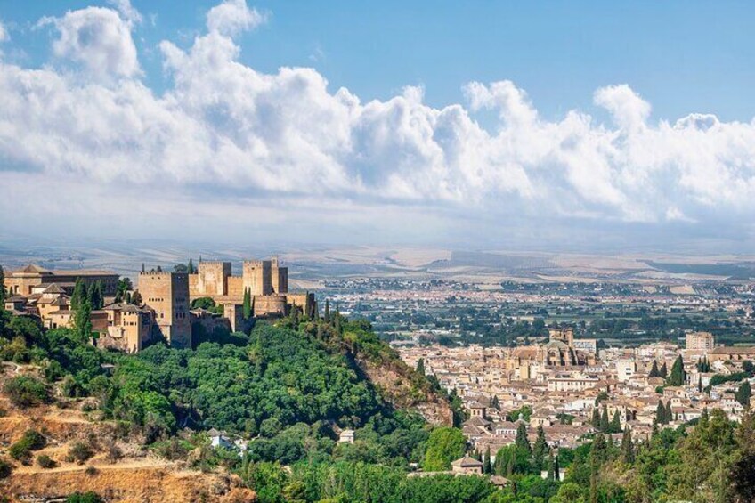 Private Family Guided Walking Tour in Granada