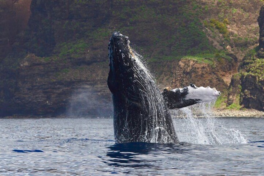 Private Na Pali Coast Tour