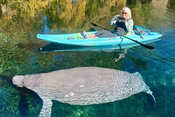 Silver Springs Premium Florida Wildlife Experience! 
