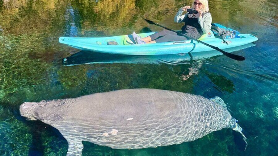 Silver Springs Premium Florida Wildlife Experience!
