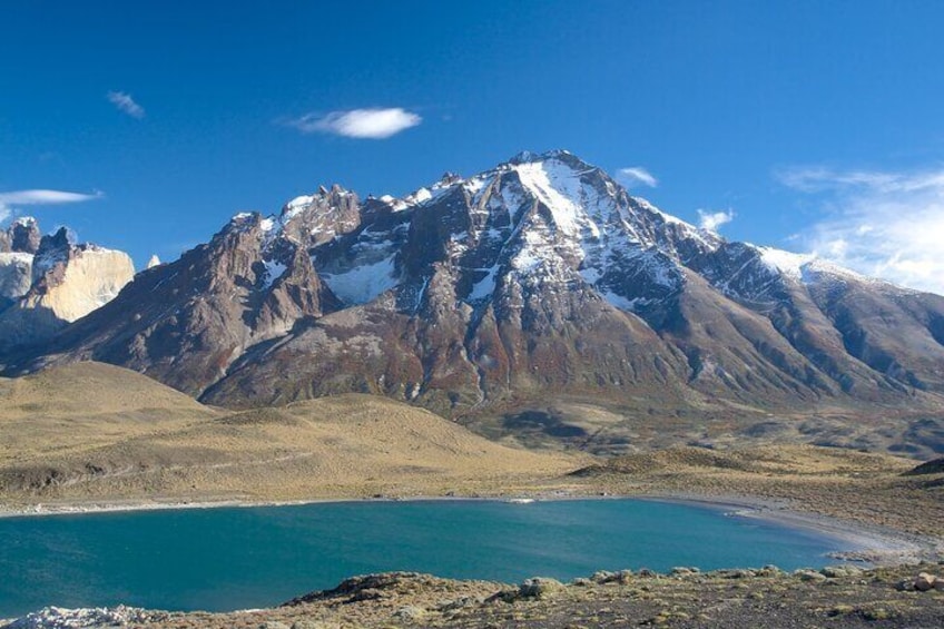 King Penguin and Tierra del Fuego Full Day Tour