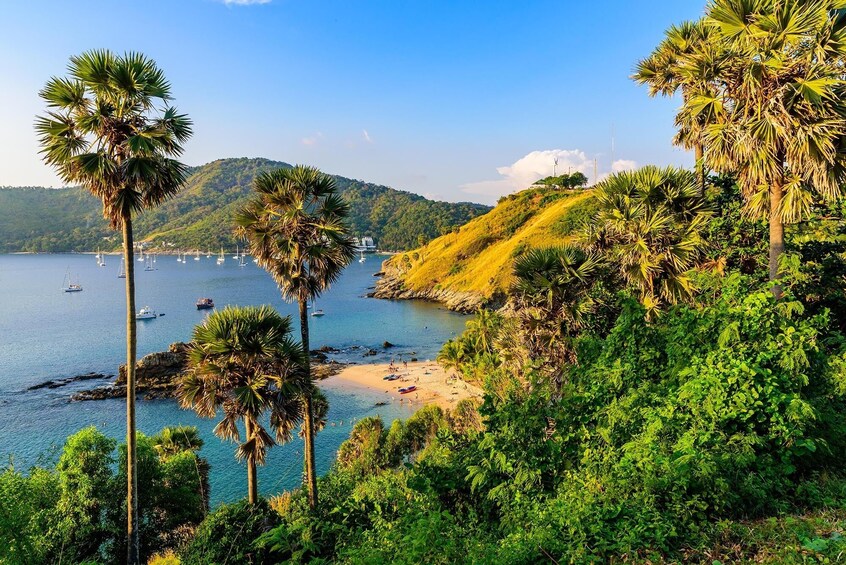 Phuket Island Introduction Private Half Day Tour 