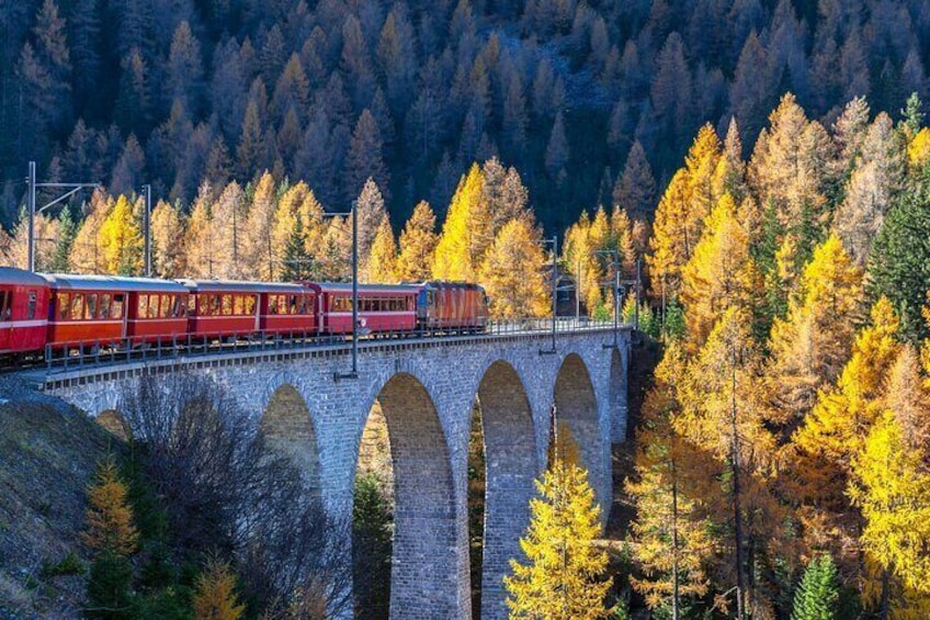 Bernina Express Private Tour from Milan