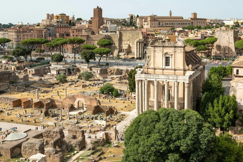 Colosseum private tour with local expert guide