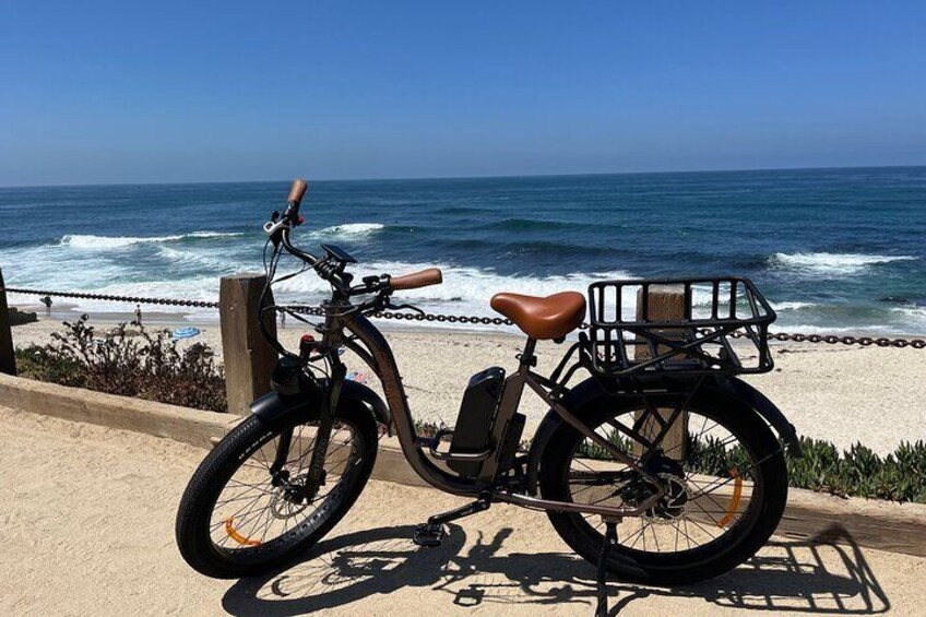 La Jolla's Best Coastal Electric Bike Tour 