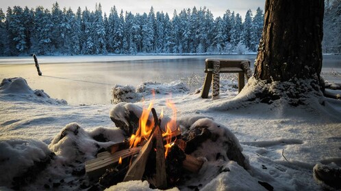 Oslo Winter bonefire & Feast: Savor the flavors of Norway