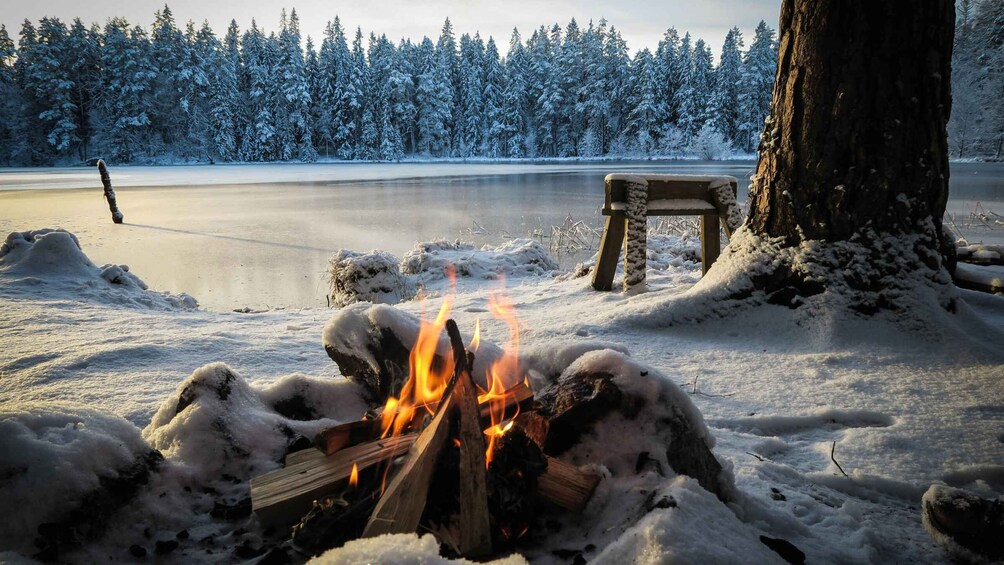 Oslo: Norwegian winter campfire & Food Experience - Lakeview