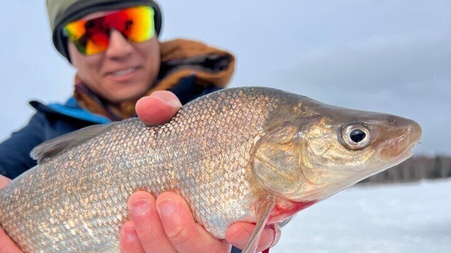Fairbanks Ice Fishing with Transportation