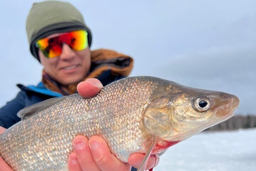 Fairbanks Ice Fishing with Transportation