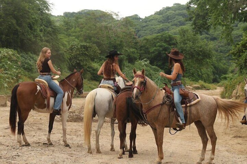 Traditional Horse Trail Ride with Bucerias Saddle Adventures