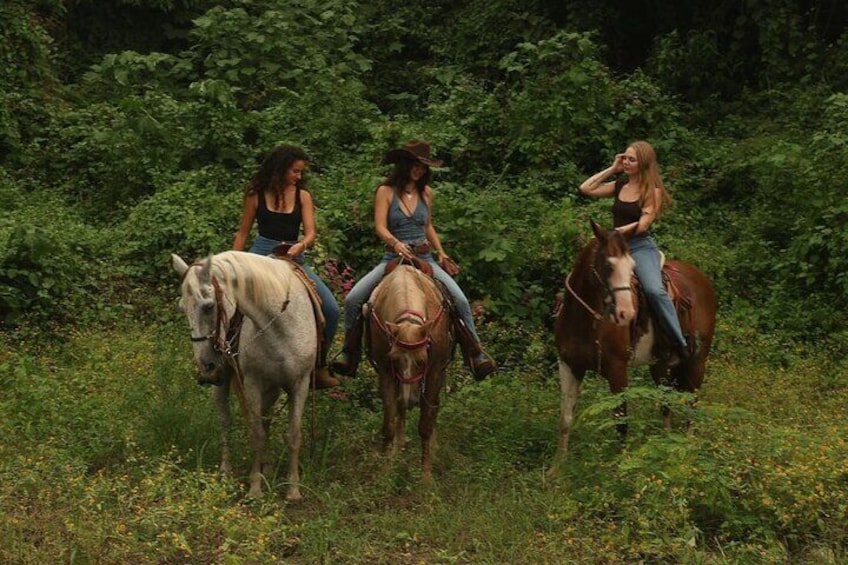 Traditional Horse Trail Ride with Bucerias Saddle Adventures