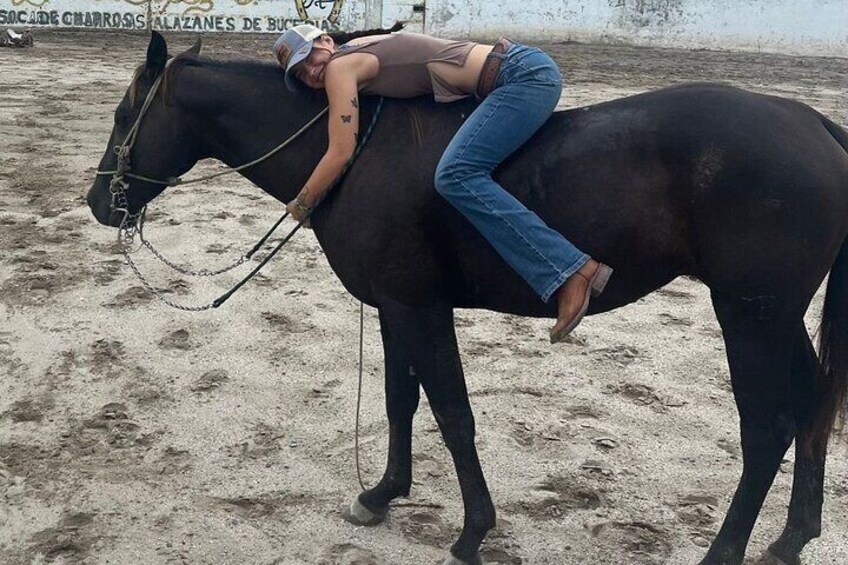 Traditional Horse Trail Ride with Bucerias Saddle Adventures
