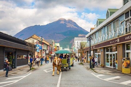 Beppu Ropeway and Yufuin Scenic Tour