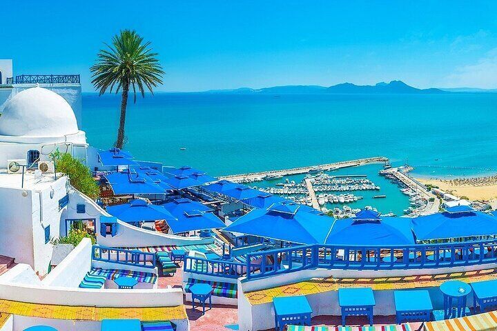 From Port La Goulette: Private Day Trip to Tunis 