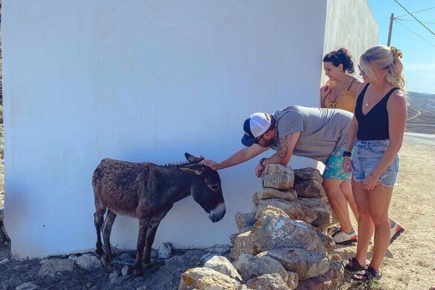 6 Hours Mykonos Private Island Tour With Full Authentic Lunch