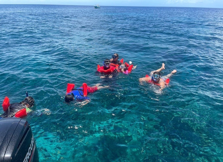 Picture 3 for Activity Roatan: Coral Reef Snorkeling Excursion With Beach Break