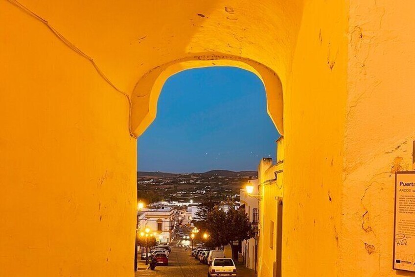 Tour to the White Villages and Tourist Attractions in Seville