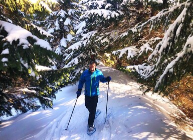 Allgäu: Snowshoe Hiking Adventure