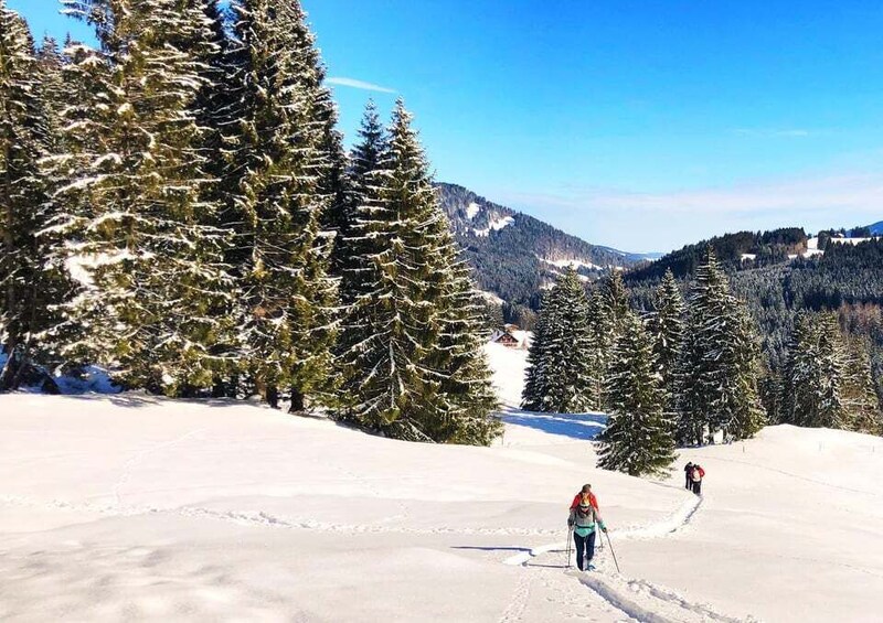 Picture 3 for Activity Allgäu: Snowshoe Hiking Adventure