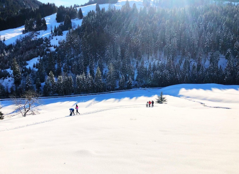 Picture 4 for Activity Allgäu: Snowshoe Hiking Adventure