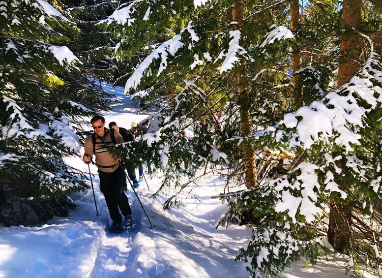 Picture 2 for Activity Allgäu: Snowshoe Hiking Adventure