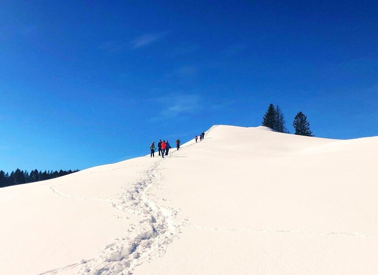 Picture 1 for Activity Allgäu: Snowshoe Hiking Adventure