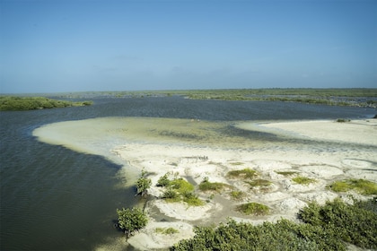 Excursión en tierra: acceso en buggy al parque Punta Sur y al club de playa