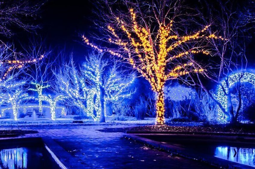 Cookeville Christmas Lights Luxury Tour in the RoadStallion