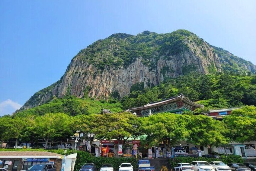 Jeju Southern Full Day Tour
