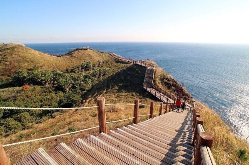 Jeju Southern Full Day Tour