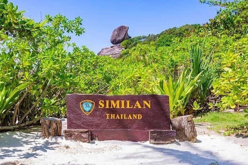 Similan Island tour by Speed boat from Phuket